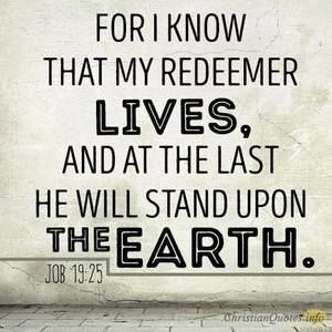 Meet your Posher, Wanda